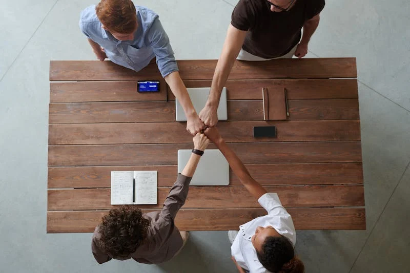 Professional IT Team